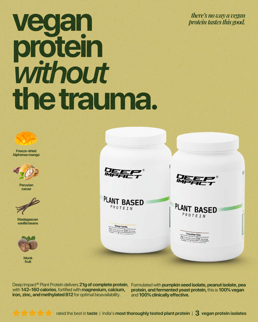 best tasting vegan protein in india. choclate chip vegan protein. mango vanilla vegan protein.